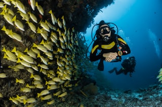 Original unprocessed underwater photograph — murky and colour-shifted